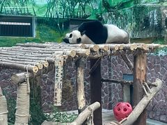 -黔灵山公园