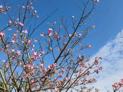 -草庵摩尼教遗址公园