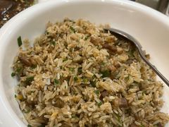 鹅肉饭-胜记烧鹅美食