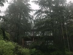 景点-九华山风景区月身宝殿