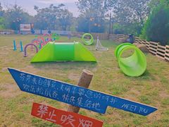 -欢乐松鼠谷