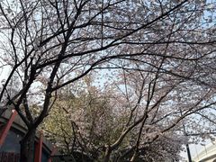 -杨高南路(地铁站)