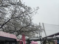 -南浦大桥长途旅游客运站