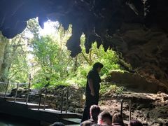 -怀托摩萤火虫洞