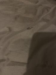 -佳之爱月子会所