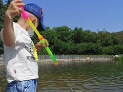 -大兴滨河森林公园