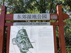 -东郊湿地公园