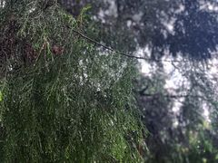 -九曲溪竹筏码头