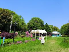-金鸡湖景区