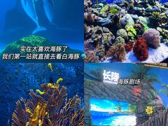 -珠海长隆海洋王国