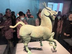 -广西壮族自治区博物馆