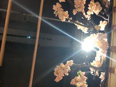 -青水瓦台汤泉(新华店)
