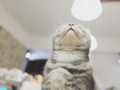 -隅cafe(傅厚岗店)