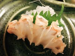 -蟹料理 北海道かに将軍(札幌本店)