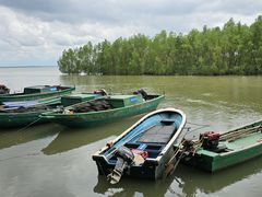 -连理枝渔家乐