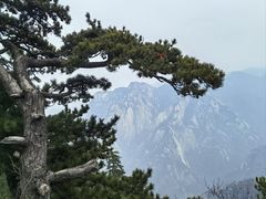 -华山风景名胜区