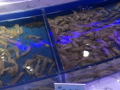 水产区-澜悦港海鲜体验主题餐厅