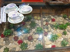 -西塘人家•黑金冠本地好店