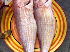 -鸿港海鲜批发市场