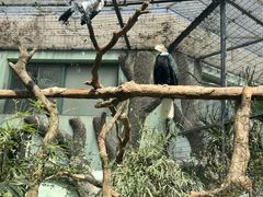 -上海动物园(地铁站)