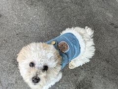 -昆山金鹰尚美酒店·金鹰贵宾楼