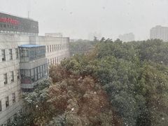 -上海金桥红枫万豪酒店-万豪中餐厅
