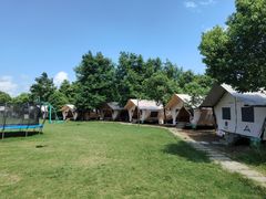 -上海海湾国家森林公园