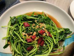 -佬肥猫(七宝宝龙店)