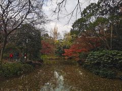 -秋霞圃