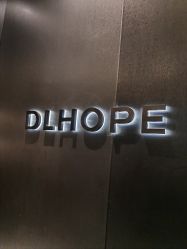 -DL HOPE造型