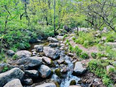 -玉渡山自然风景区