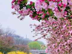 -元大都城垣遗址公园