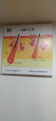 -章光101防脱养发荟