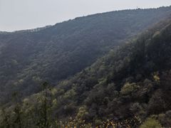 -皇藏峪国家森林公园