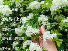 -成都当代影像馆