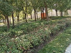 -陆家嘴世纪金融广场