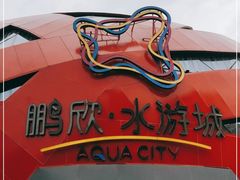 -鹏欣水游城