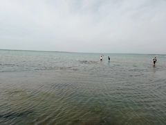 -红碱淖景区