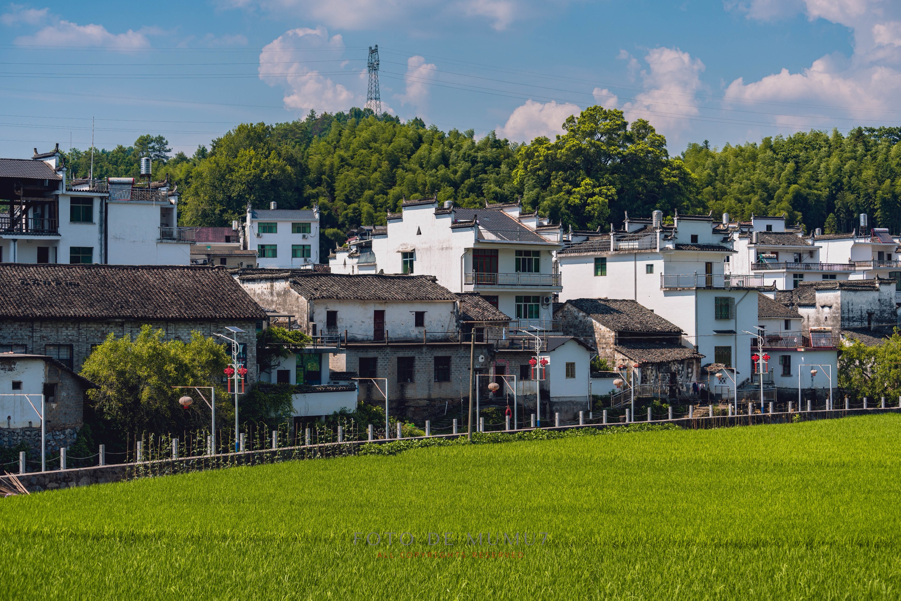 婺源
清华村
察关村
虹关村
一路风景
一路美
这个夏日