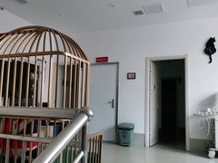 -太原东方动物医院(小店分院)