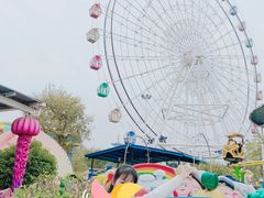 -洋湖国家湿地公园