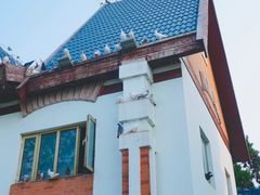 景点-鸽子窝公园