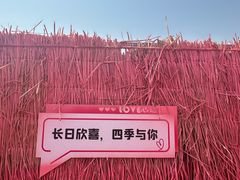 -西海岸生态观光园