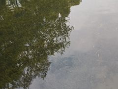-晓港公园