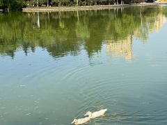 -莲湖公园