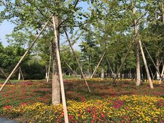 -天鹅湖体育公园