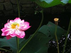 -天赐温泉