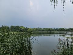 -北坞公园