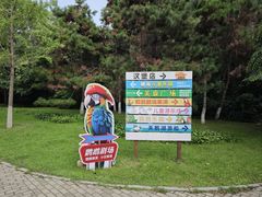 -沈阳鸟岛