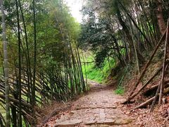 -午潮山国家森林公园
